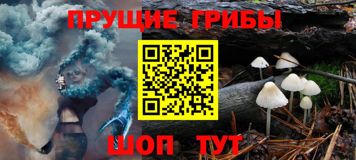 Псилоцибиновые грибы Magic Shrooms Новоалександровск