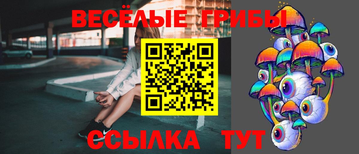наркотики  Галлюциногенные грибы GOLDEN TEACHER  Вход с VPN  Новоалександровск 